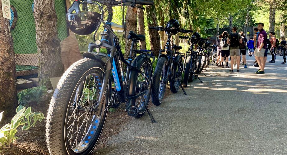 28 38 Canada 29 28 38 Canada 29